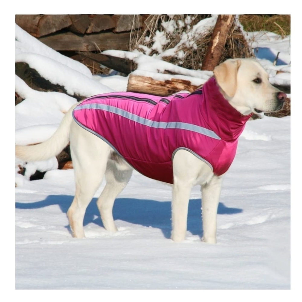 NEW Dog Raincoat Winter Jacket - Picture 5 of 9
